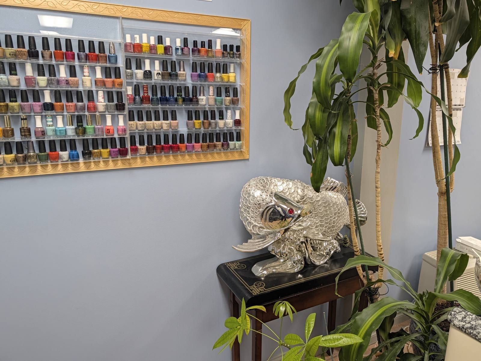 Wall of nail polish colors with plants at T & T Nails in Bellingham